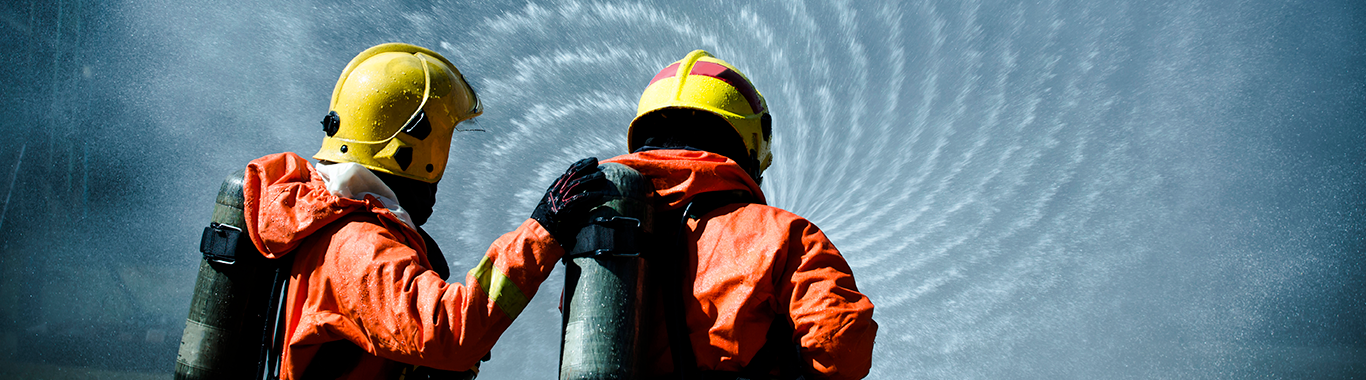 Brigada de Incêndio – Módulo Básico